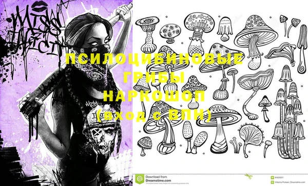 мяу мяу мука Алзамай